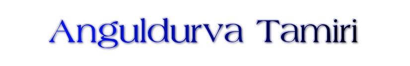 anguldurva tamiri